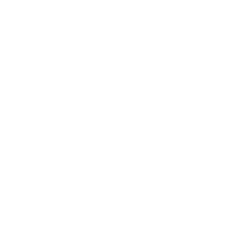 Web Technologies